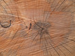 Holzstruktur