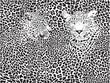 Vektor: leopard pattern background leopard pattern background