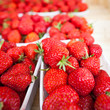farmers market series - fresh strawberries farmers market series - fresh strawberries