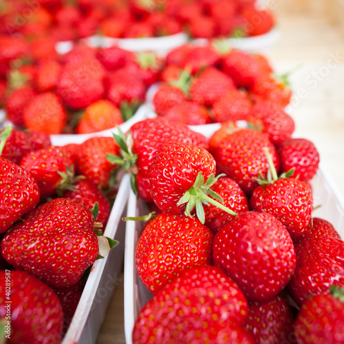 Photo: farmers market series - fresh strawberries farmers market series - fresh strawberries