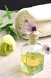 Wellness spa