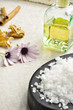 Wellness spa