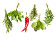 Herbs.