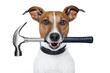 handyman dog with a hammer