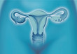 Illustration: Uterus, Gebärmutter Uterus, Gebärmutter