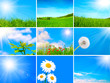 assortment of spring and summer landscape