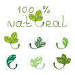 Leaves - design elements