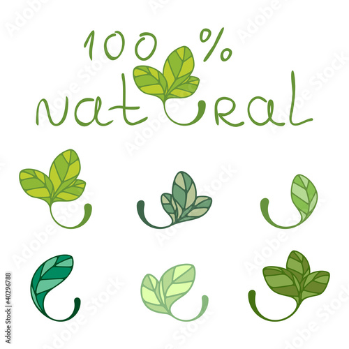 Vector: Leaves - design elements Leaves - design elements