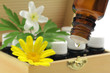 naturmedizin