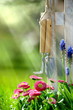 Frühling