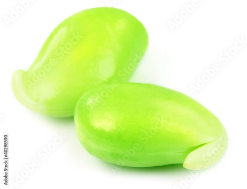 Photo: Edible seeds of hyacinth bean or Indian bean Edible seeds of hyacinth bean or Indian bean