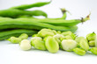 Foto: fava fave fava fave