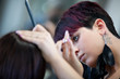Hairdresser cutting hair