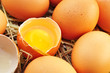 Frische Eier