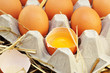 Frische Eier
