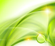 Abstract green background Abstract green background