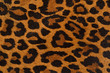 Leopard print pattern