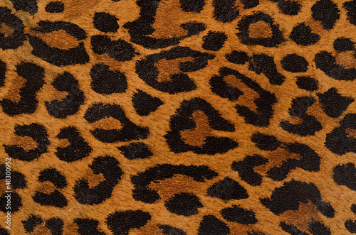 Photo: Leopard print pattern Leopard print pattern