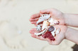 Close up of seashells