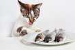 Cat licked over the fish. In the kitchen.
