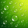 Water drops on green