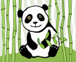 Panda.