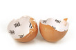 Broken egg shell