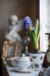 Intérieur de maison et fleur bleue Intérieur de maison et fleur bleue