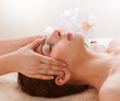 Spa Massage. Young Woman Getting Facial Massage