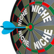 Niche Words on Dartboard Dart Hones on Specialized Demo