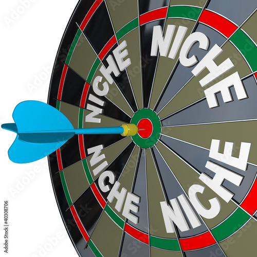 Illustration: Niche Words on Dartboard Dart Hones on Specialized Demo Niche Words on Dartboard Dart Hones on Specialized Demo