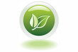 ecology button - green leaves