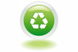 ecology button - green leaves