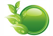 ecology button - green leaves