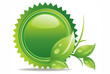 ecology button - green leaves