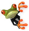 Grenouille et smoking