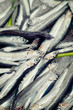 Anchovy in a fish market
