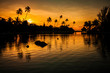 Sunset in a tropical paradise with palm trees