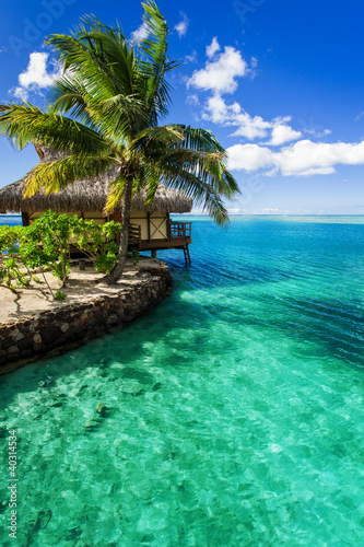 Photo: Tropical villa and palm tree next to green lagoon Tropical villa and palm tree next to green lagoon