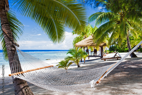 Photo: Empty hammock between palm trees on a beach Empty hammock between palm trees on a beach