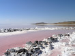 Archs of Spiral Jetty inner circles