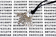 Bunch of silver keys on a sheet with encrypted data