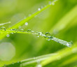 water drops