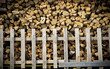 Split firewood stack Split firewood stack