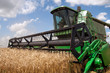 Combine harvests wheat on a field in sunny summer day