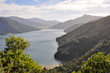 Marlborough Sounds, New Zealand