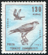 falcon