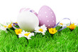 Three Easter eggs in a field with Daisy flowers Three Easter eggs in a field with Daisy flowers