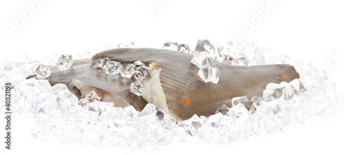 Photo: Fresh flounder on ice closeup Fresh flounder on ice closeup