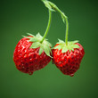 Fresh strawberries